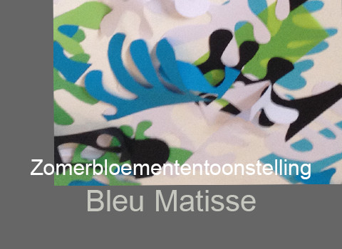 Bleu Matisse